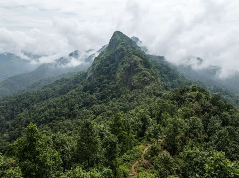 The forested summit ridge of Padagiri, the highest point of, Padagiri (Nellikotta), Nelliyampathy, Kerala, India