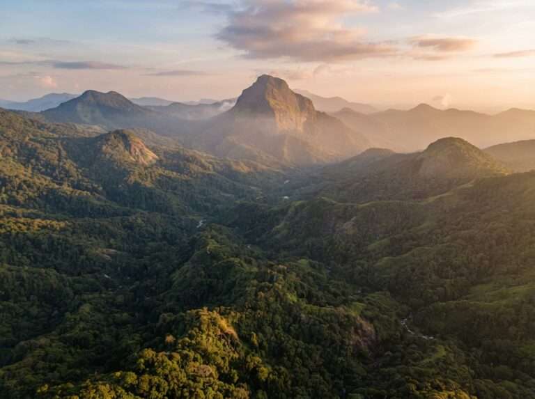 picnic-spots-in-kerala-19-agasthyakoodam-wide