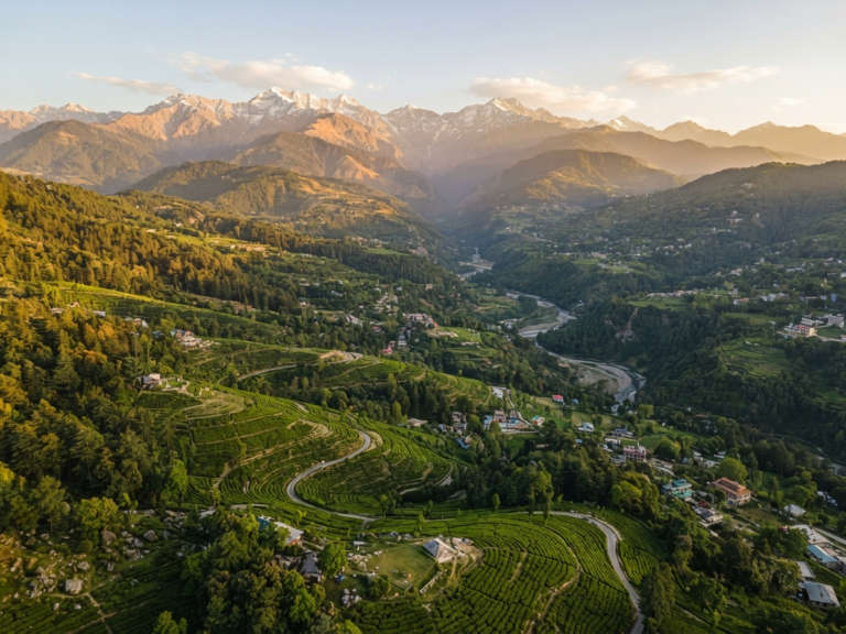 places-to-visit-near-dharams-05-palampur-wide