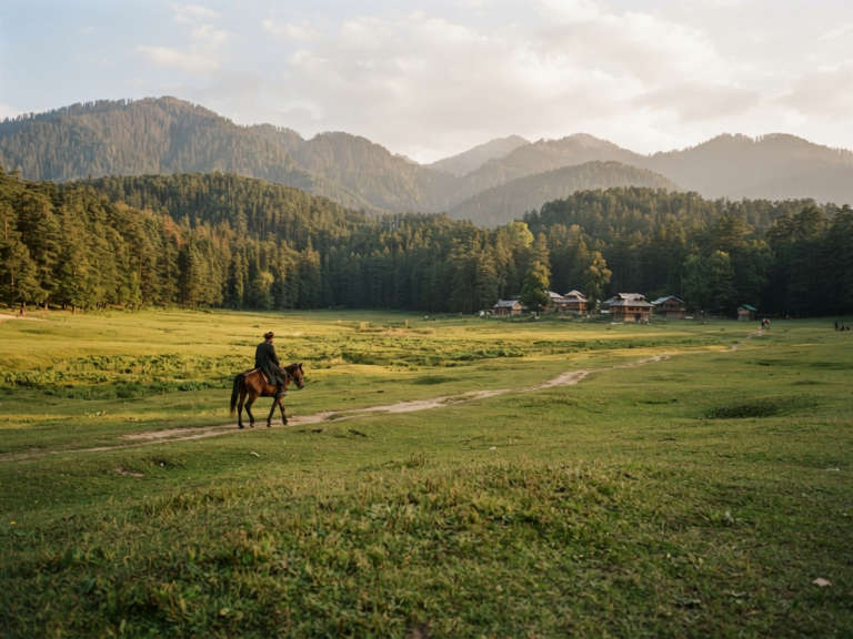 places-to-visit-near-dharams-10-khajjiar-experience