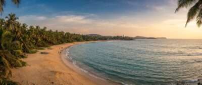 Palm-fringed south coast beaches of Sri Lanka in winter dry season at golden hour