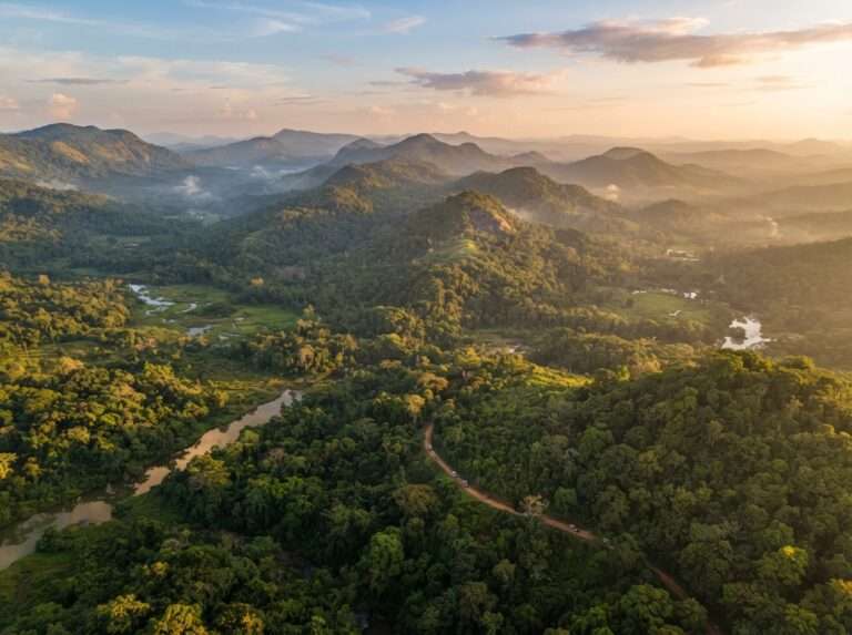 wildlife-sanctuaries-in-kerala-03-wayanad-wildlife-sanctuary-wide