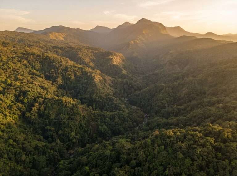 wildlife-sanctuaries-in-kerala-04-silent-valley-national-park-wide