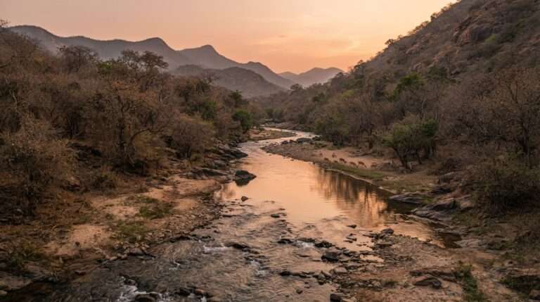 wildlife-sanctuaries-in-kerala-07-chinnar-wildlife-sanctuary-atmosphere