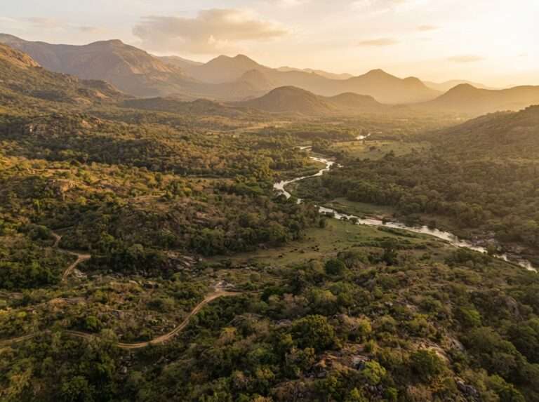 wildlife-sanctuaries-in-kerala-07-chinnar-wildlife-sanctuary-wide