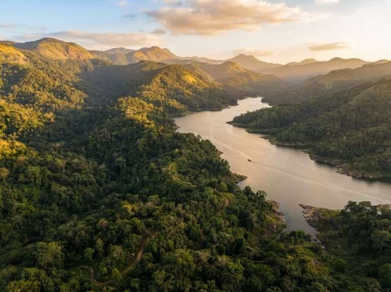wildlife-sanctuaries-in-kerala-12-shendurney-wildlife-sanctuar-wide