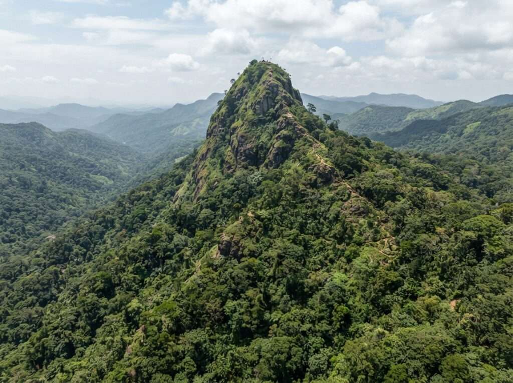 wildlife-sanctuaries-in-kerala-13-peppara-wildlife-sanctuary-iconic