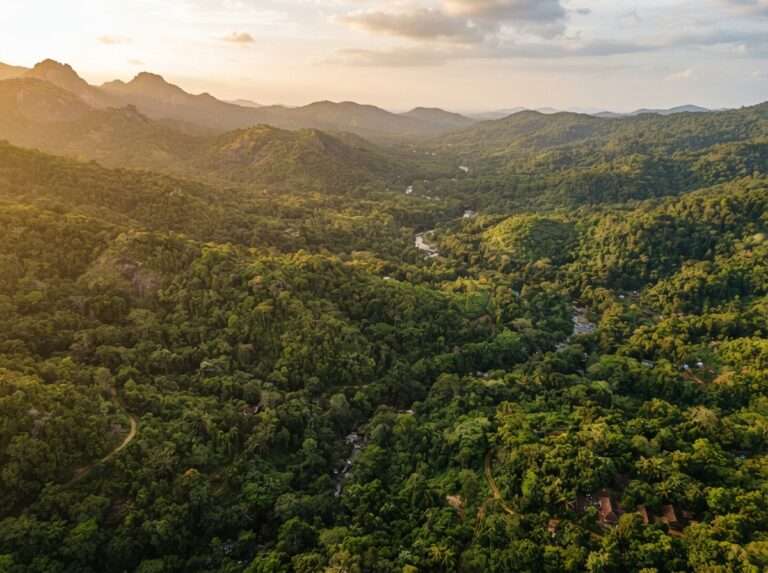wildlife-sanctuaries-in-kerala-14-aralam-wildlife-sanctuary-ar-wide