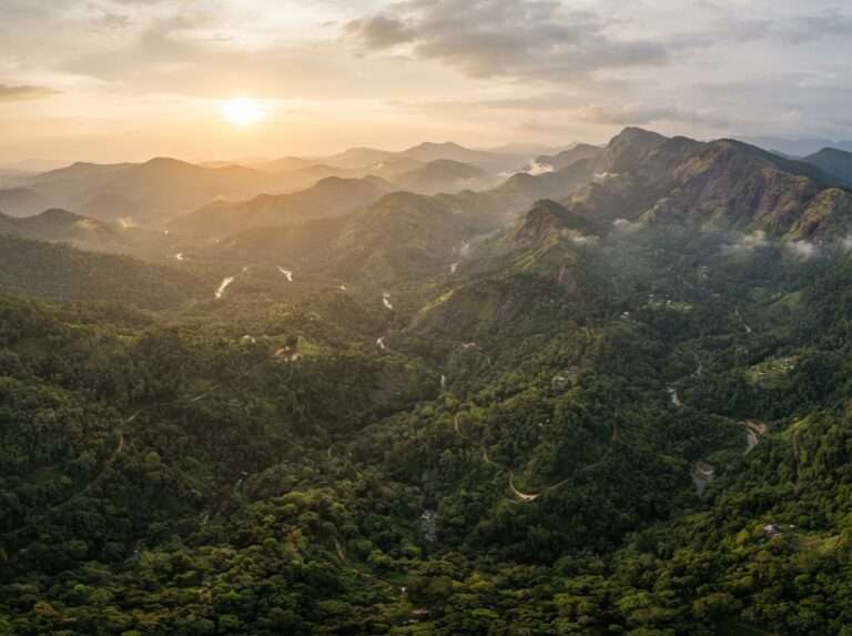 wildlife-sanctuaries-in-kerala-17-malabar-wildlife-sanctuary-wide