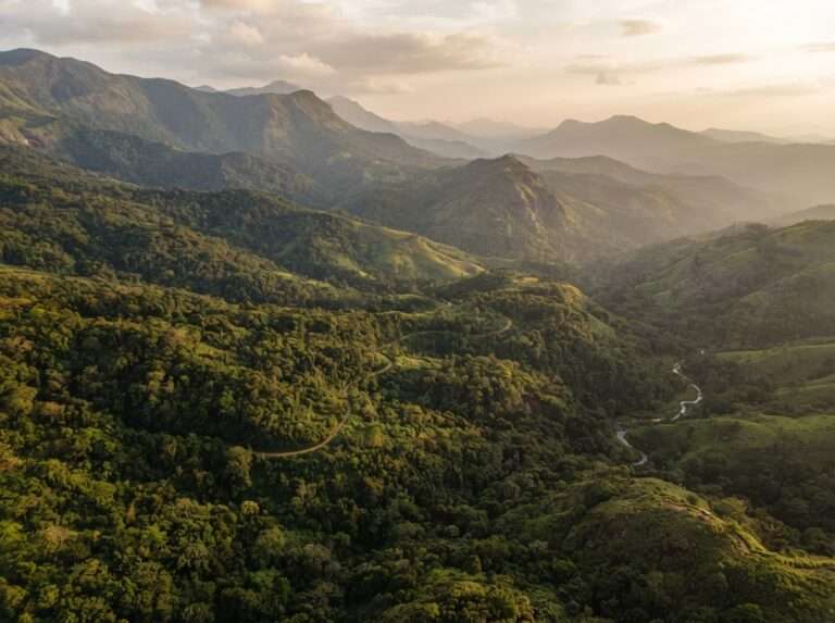 wildlife-sanctuaries-in-kerala-18-mathikettan-shola-national-p-wide
