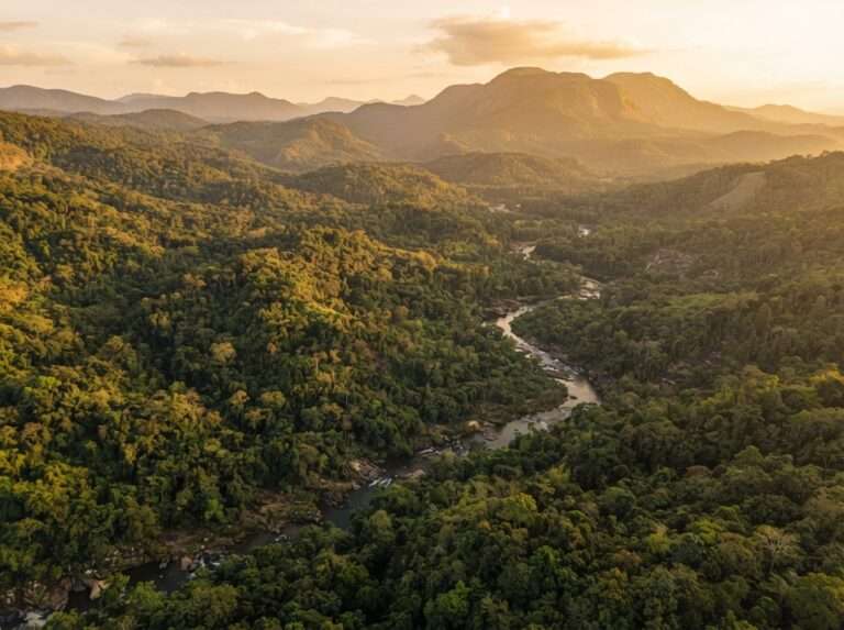 wildlife-sanctuaries-in-kerala-21-karimpuzha-wildlife-sanctuar-wide