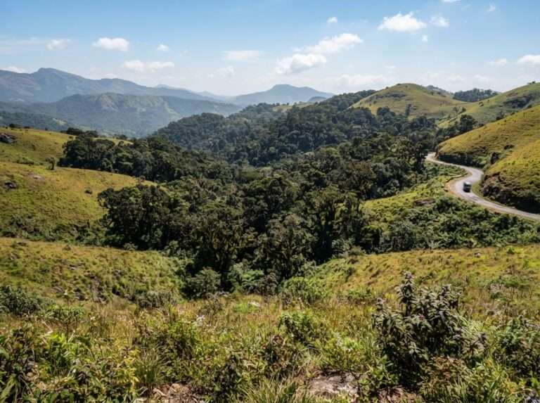 wildlife-sanctuaries-in-kerala-22-periyar-national-park-iconic