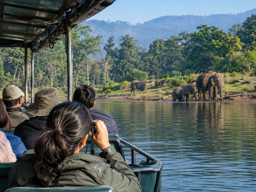Boat safari on Periyar Lake with wild elephants at the water's edge, Thekkady, Kerala Note: confirmed: Periyar lake boat safari, elephants named