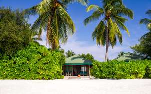 Canareef resort maldives