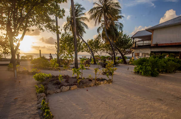 salt beach tours maafushi